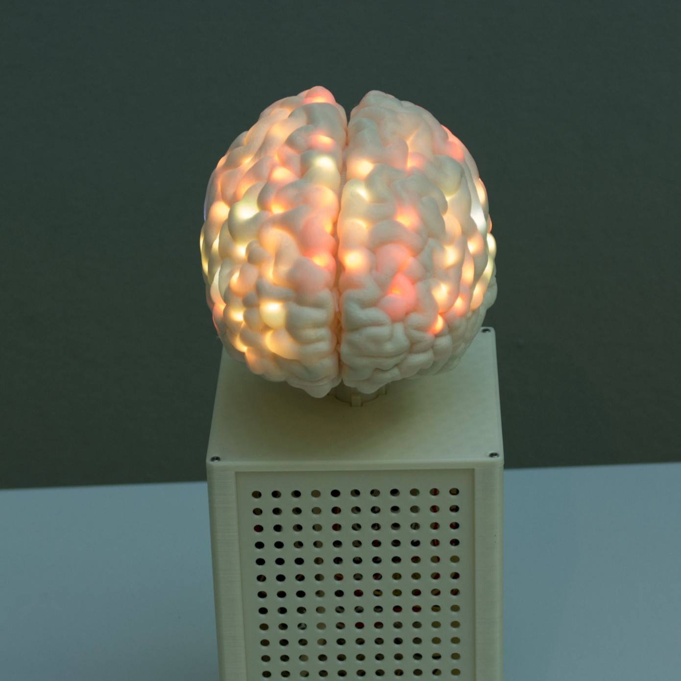 Image of the neuroplasticity puzzle