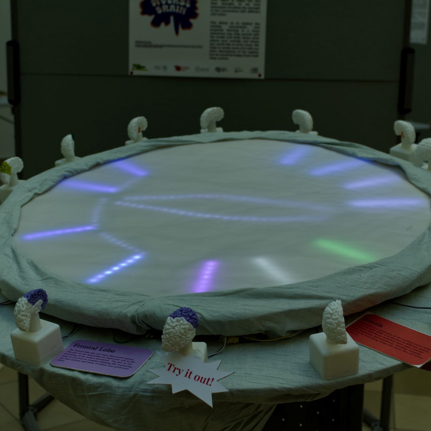 Image of the neuroplasticity puzzle
