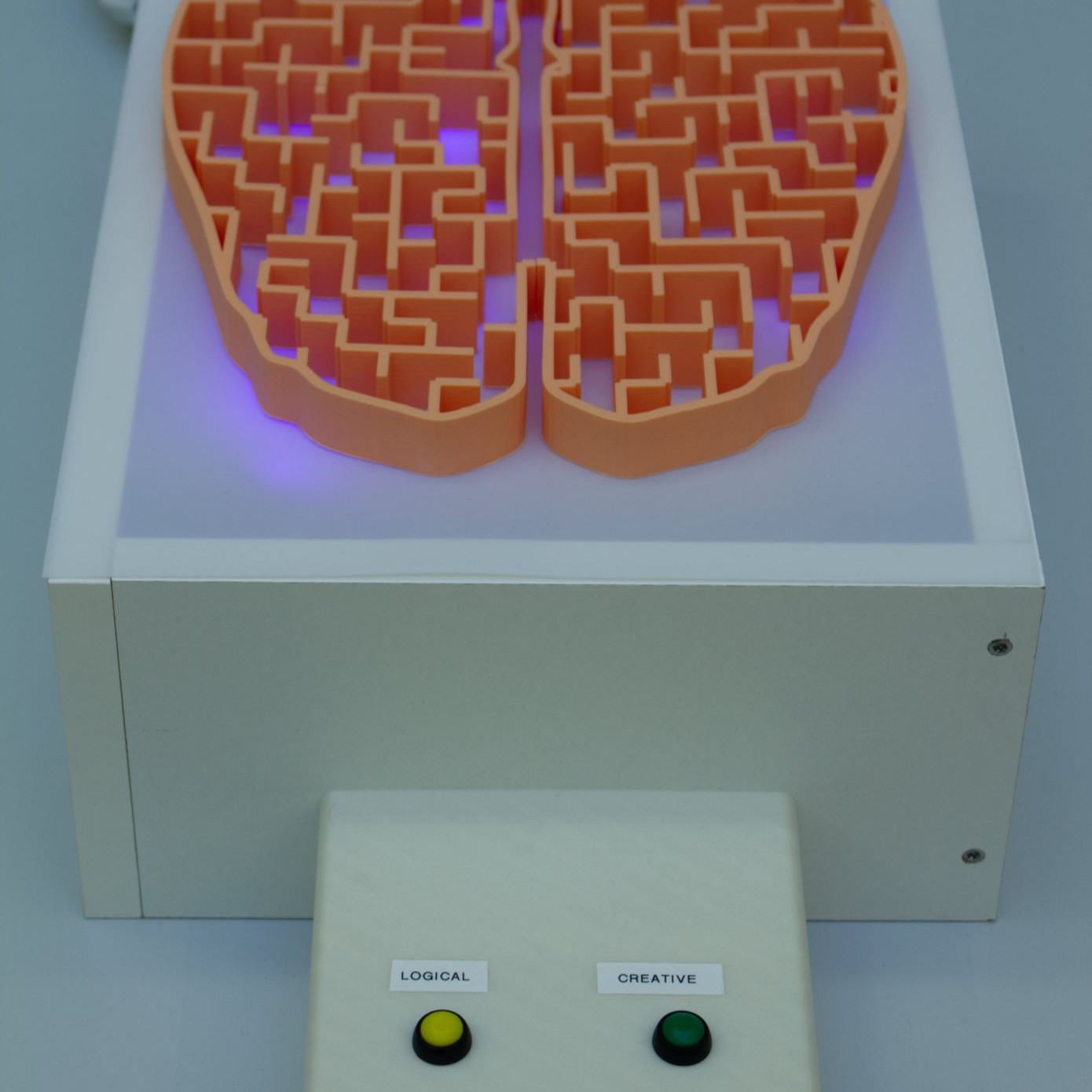 Image of the neuroplasticity puzzle