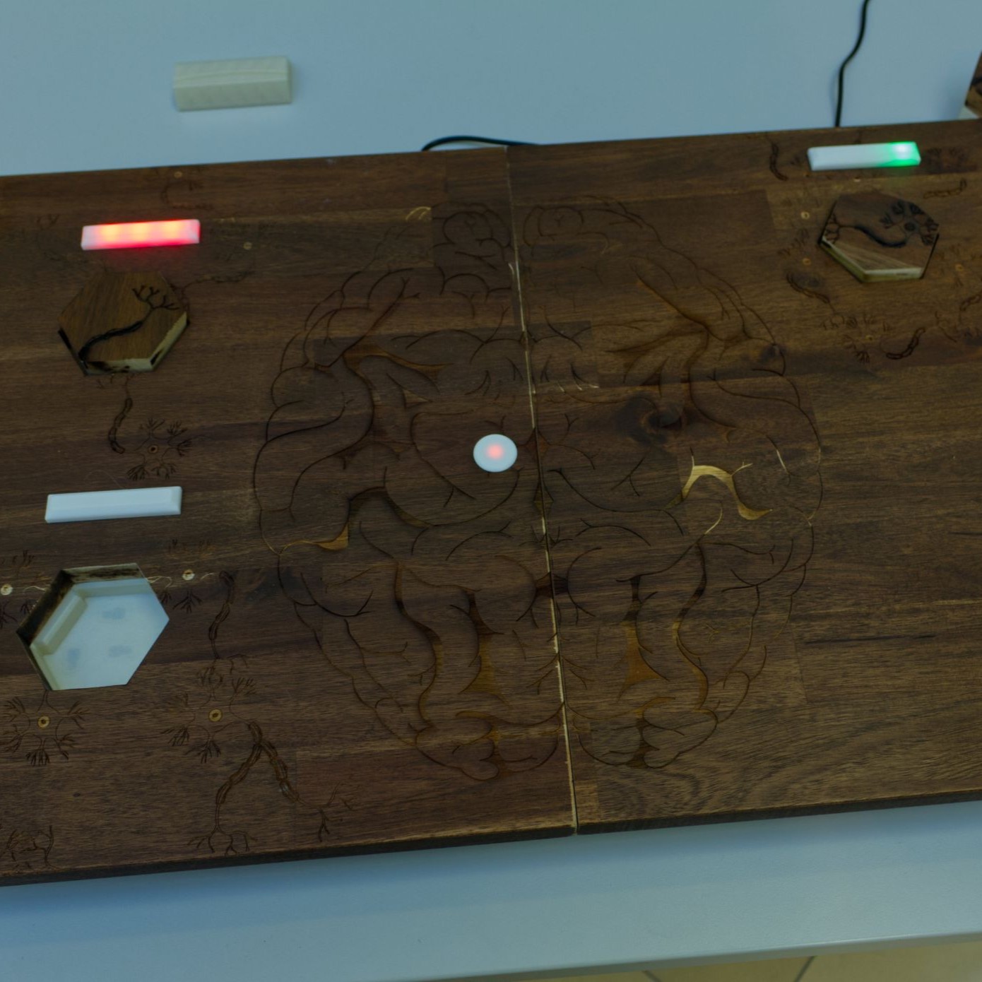 Image of the neuroplasticity puzzle