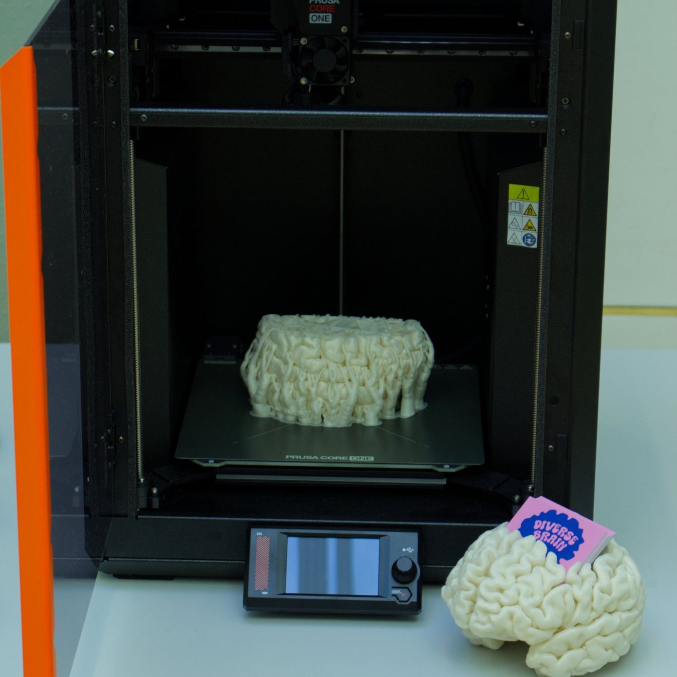 Image of the neuroplasticity puzzle